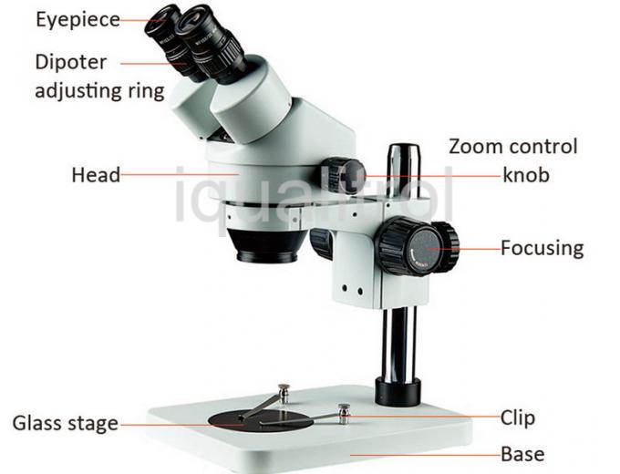 Stereoscopic Dissecting Microscope , High Magnification Stereo Microscope