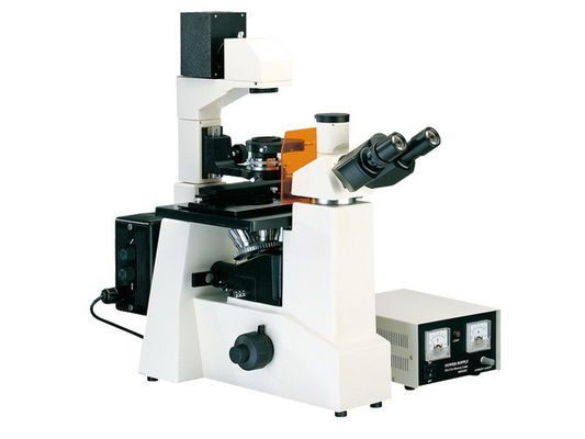 XDY-1 Inverted And Reflected Fluorescence Microscope Long Working Distance