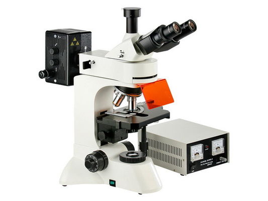 China Upright Trinocular Epi-fluorescent Microscope with Bright Field Observation supplier