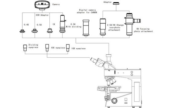 Upright Trinocular Digital Metallurgical Microscope with UIS and Dark Field Observation