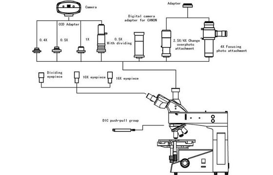 Halogen Lamp Upright Trinocular Metallurgical Microscope with DIC and Infinity System