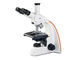 Infinity Plan Achromatic Objectives And Wide Field Eyepieces Biological Microscope