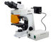 L1501 Reflected Fluorescence Microscope With Halogen Lamp Brightness Control