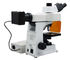 Plan Achromatic Objective Reflected Fluorescence Microscope Fine Focus System