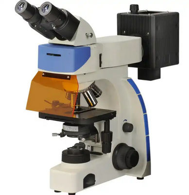 Wide View Field L3001 Epifluorescent Microscope With Transmitted Field Observation