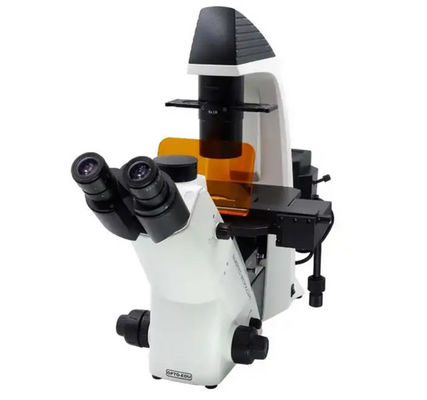 XDY-1 Inverted And Reflected Fluorescence Microscope Long Working Distance