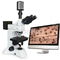 Plan Achromatic Objective Upright Trinocular Metallurgical Microscope with Fine Focus System supplier