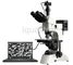 Easy Operation Metallographic Image Analysis Software MetaVision for Metallurgical Microscopes supplier