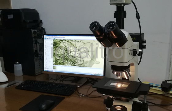 Trinocular Wide Field Eyepiece Reflected and Transmitted Metallurgical Microscope